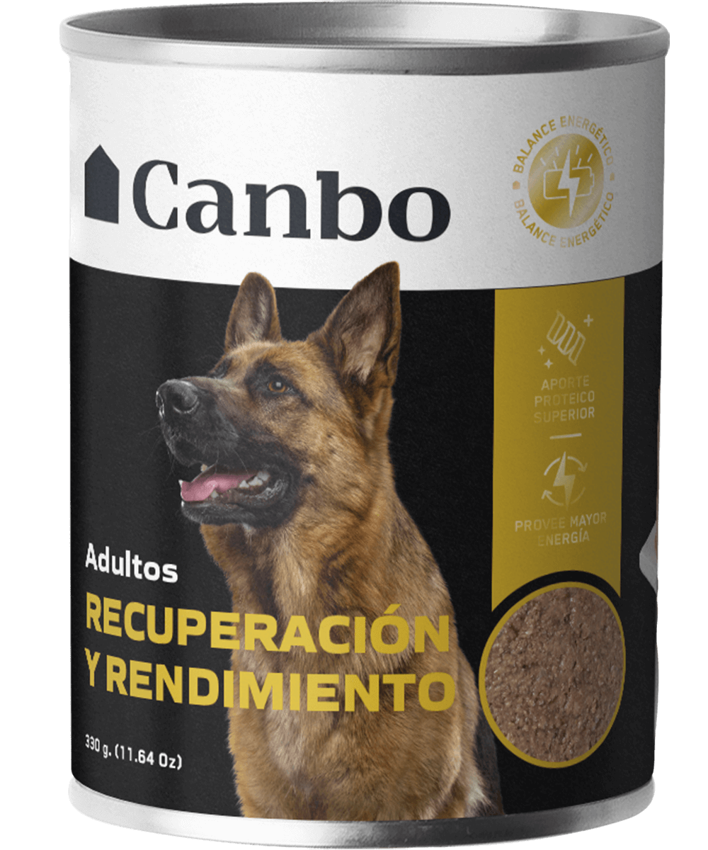 Canbo Dog Pate Recuperación y Rendimiento Adulto 300 gr