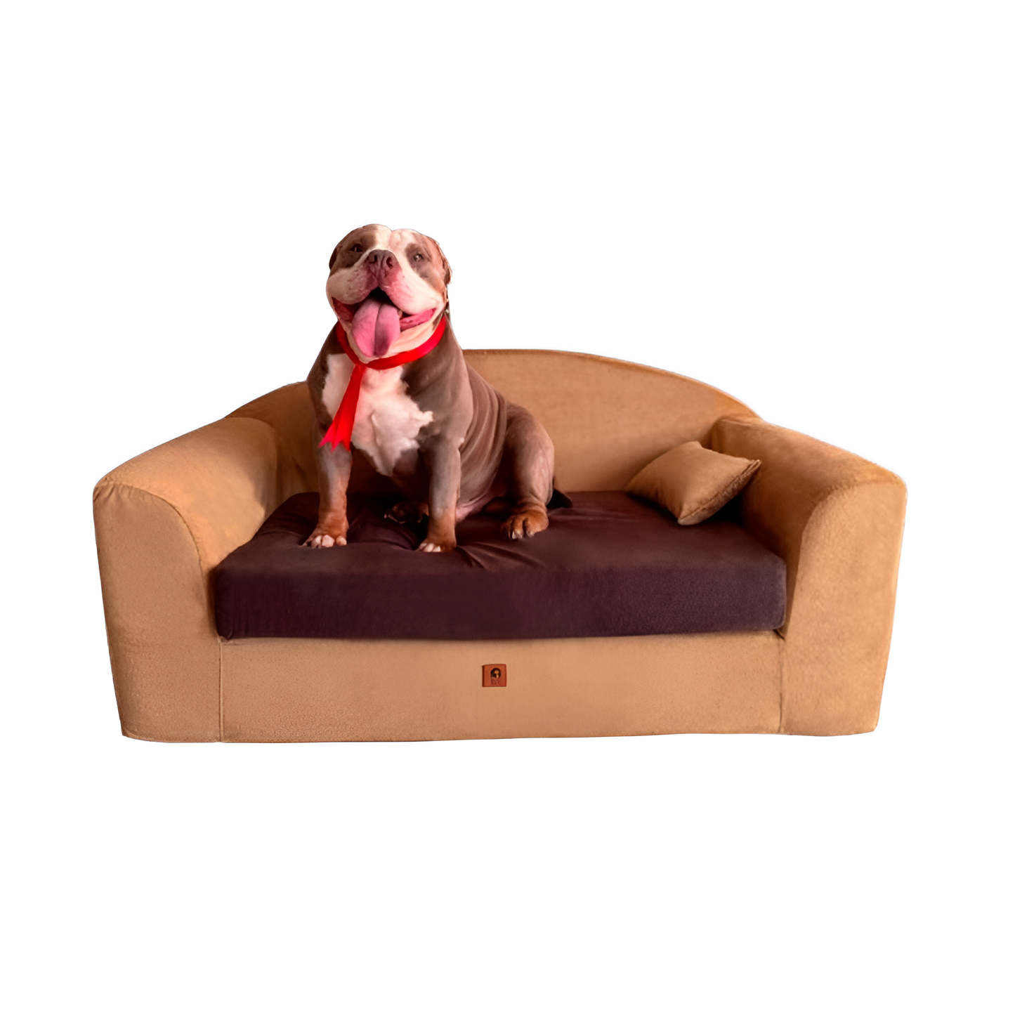 Cama confort Club potro camell gold