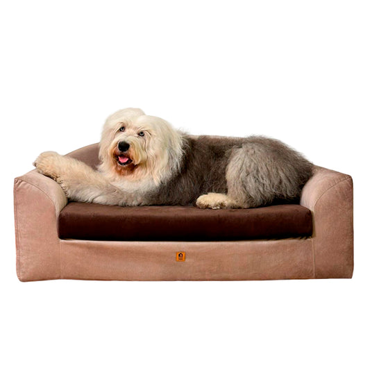 Cama confort Club potro champagne