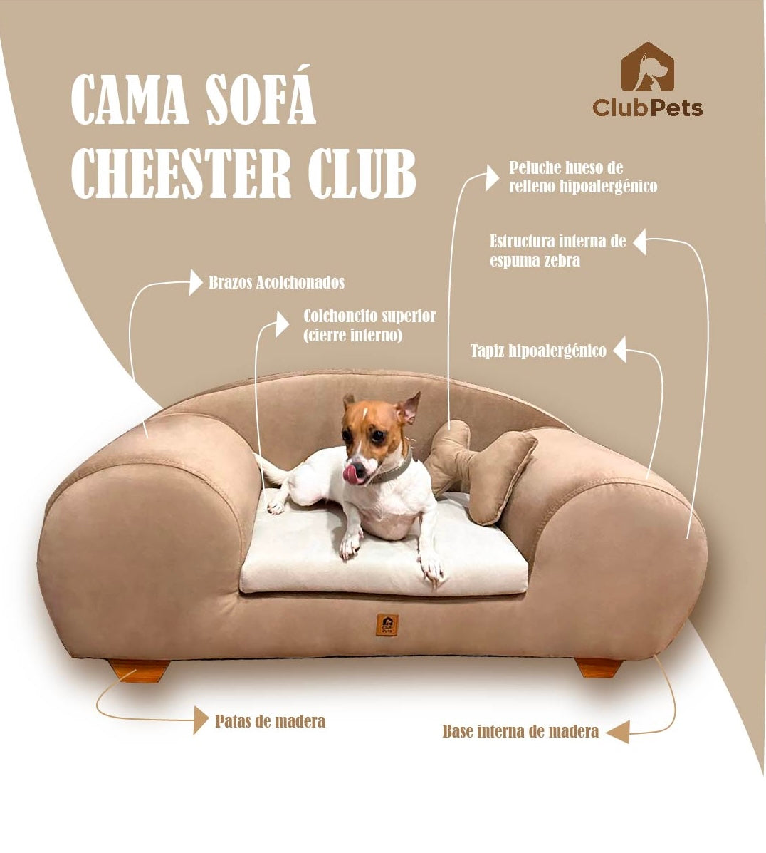 Sofá cheester club perro
