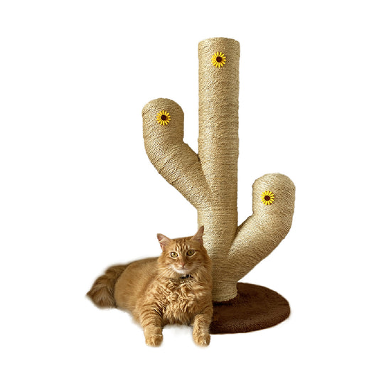 Mini cactus rascador natural 70 cm