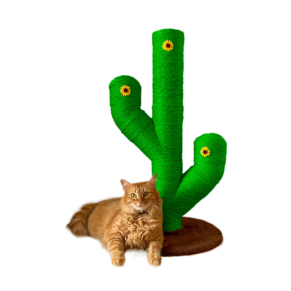 Mini cactus rascador verde 70 cm