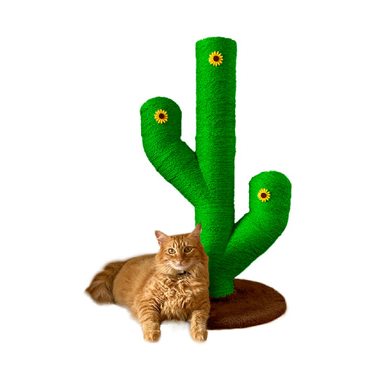 Mini cactus rascador verde 70 cm