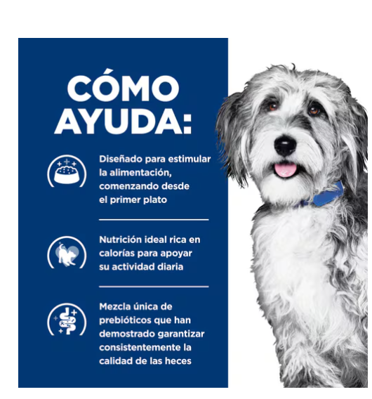 Hills Pd Onc Care Alimento Seco Perros