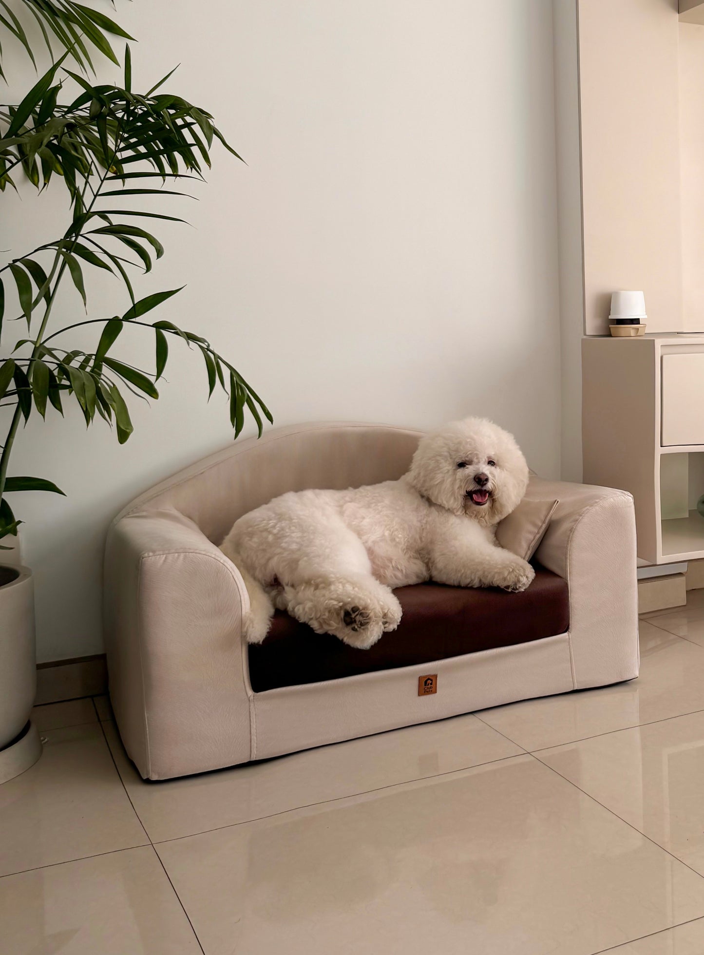 Cama confort Club potro nude