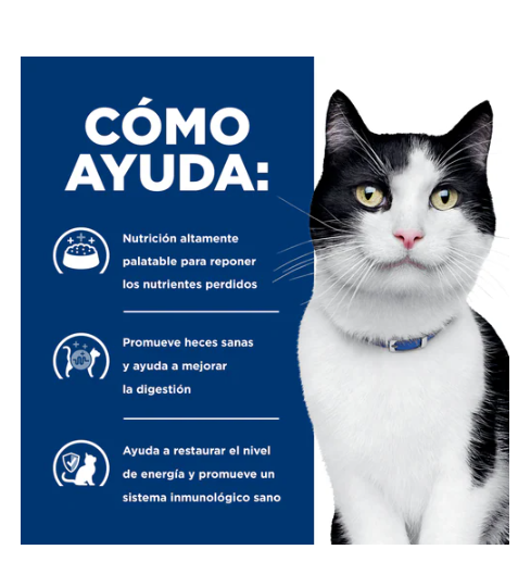 Hills PD i/d Dry 4 lb Cuidado digestivo Seco 1.81 Kg