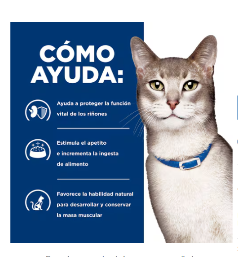 Hills PD k/d Dry 4 lb Cuidado de Riñón 1.81 Kg