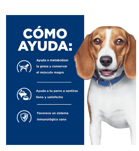 Hills PD r/d Dry 8.5 lb Reducción de peso 3.85 Kg