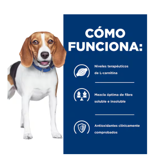 Hills PD r/d Dry 8.5 lb Reducción de peso 3.85 Kg