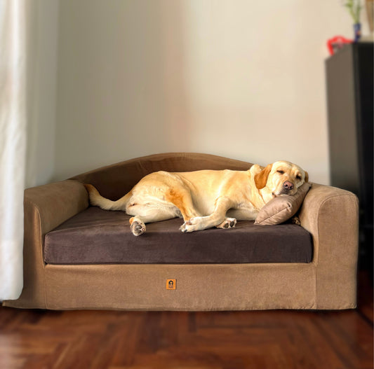 El descanso que tu engreído merece: conoce la cama de espuma Zebra con tapiz hipoalergénico.