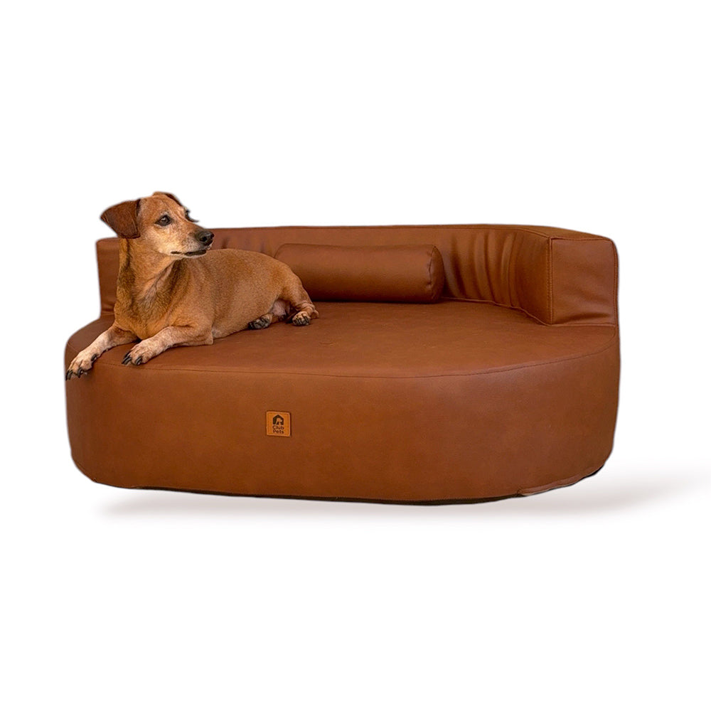 Cama Ergolux