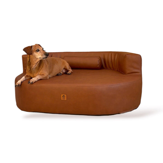 Cama Ergolux