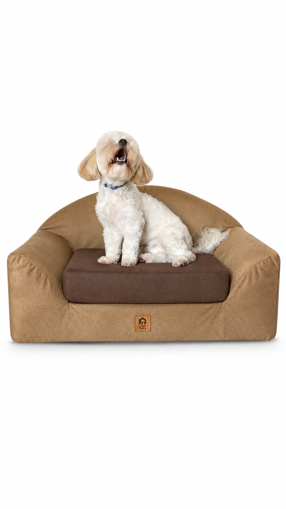 Cama Confort Club Potro Camel