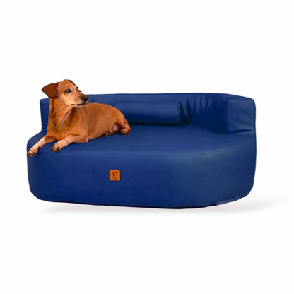 Cama Ergolux