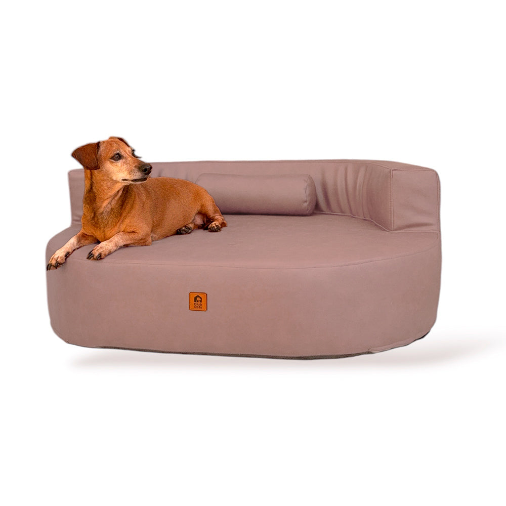 Cama Ergolux