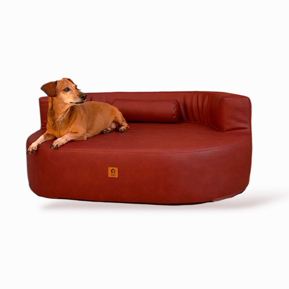 Cama Ergolux