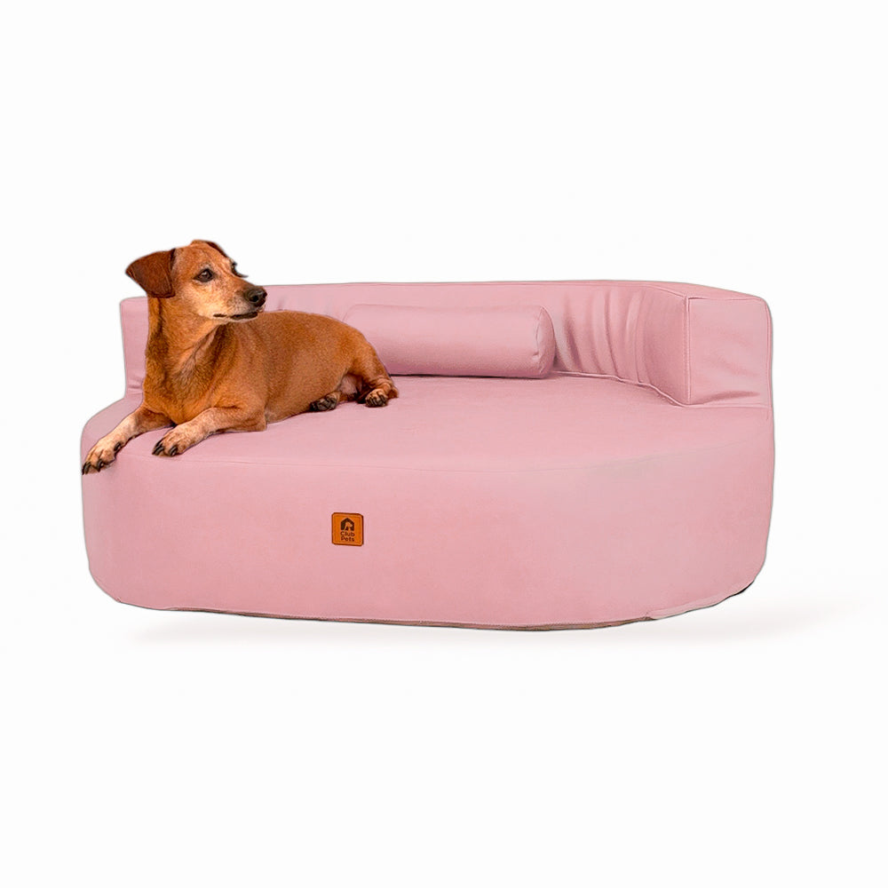 Cama Ergolux